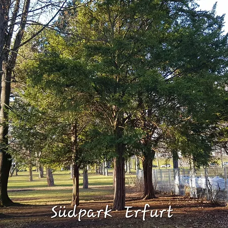 Am Südpark